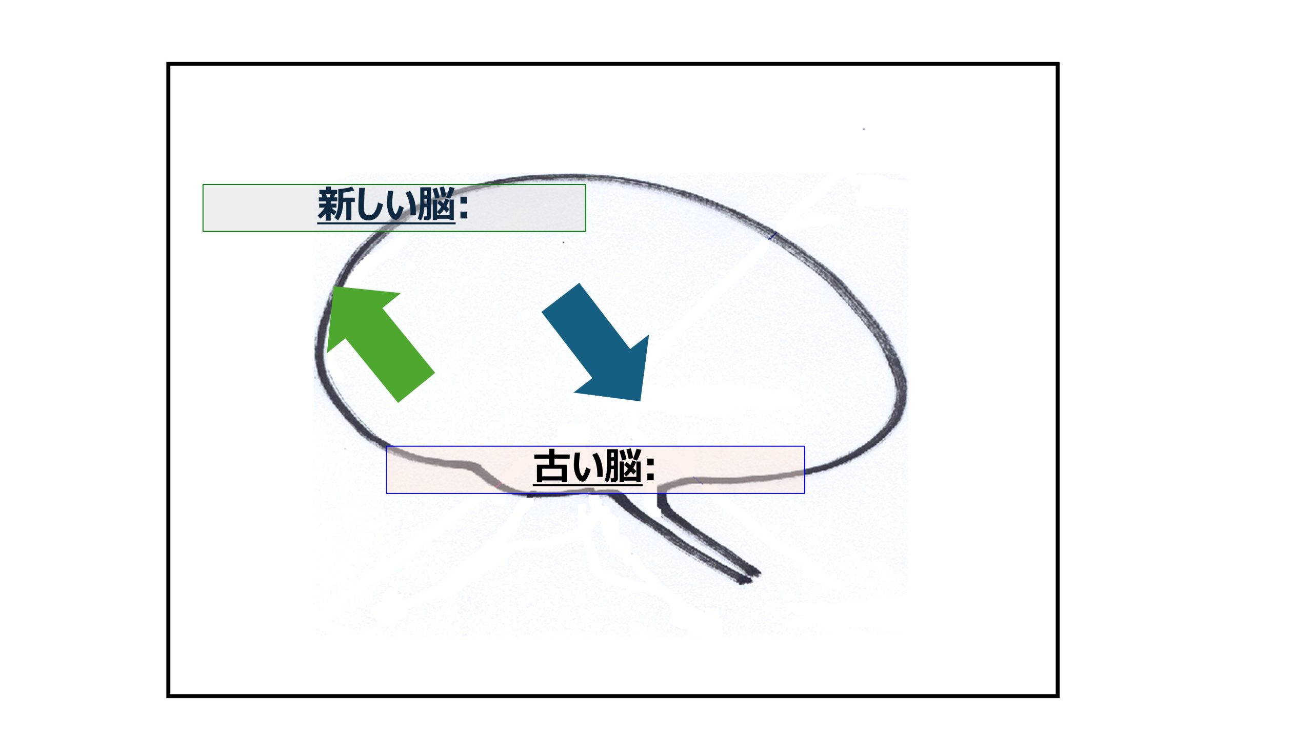 自分の考えに閉じこもる脳